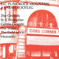 eec punk rock mountain