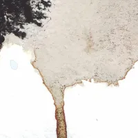 telescopes flavor crystals