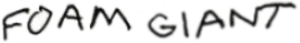 foam giant logo