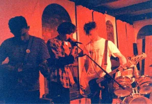 perfect garden band photo